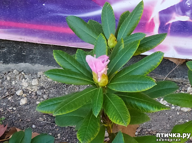 ���� 18: ������ �����