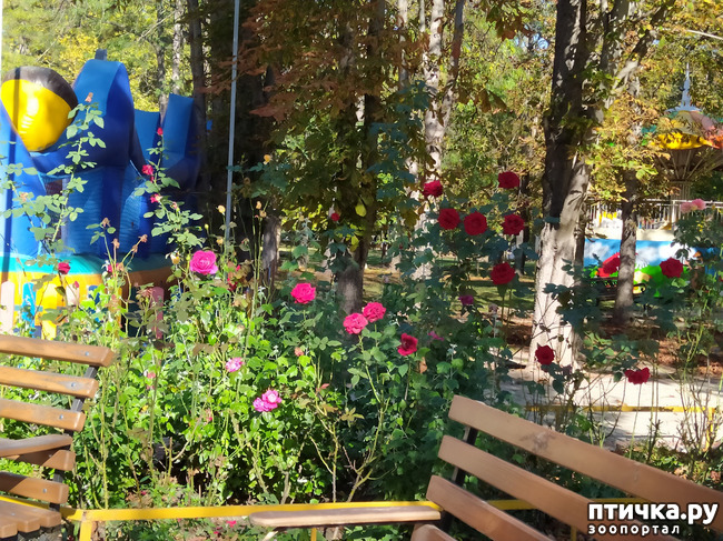 ���� 19: ������ �����