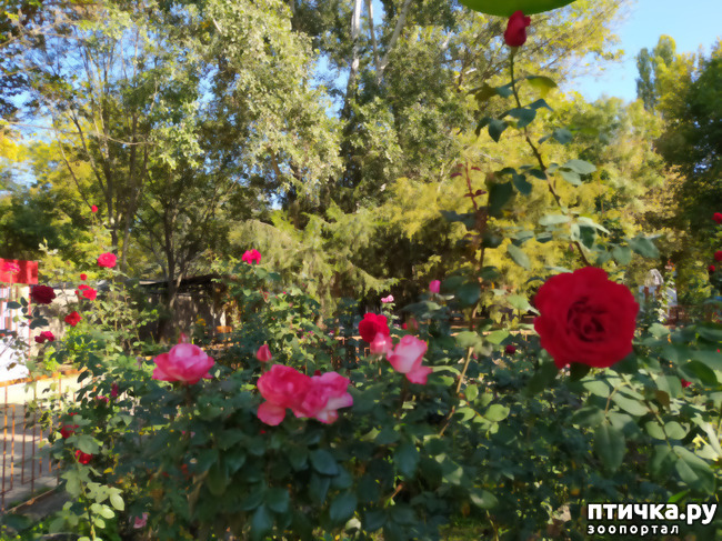 ���� 20: ������ �����