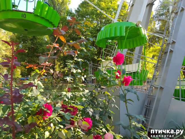 ���� 21: ������ �����