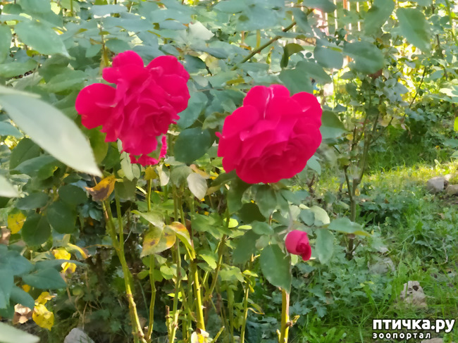 ���� 22: ������ �����