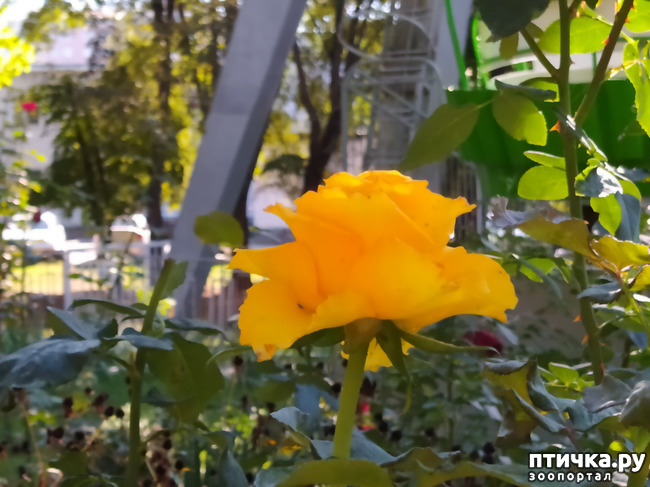 ���� 23: ������ �����