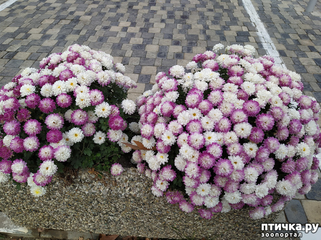 ���� 24: ������ �����