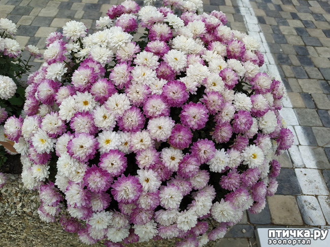 ���� 25: ������ �����