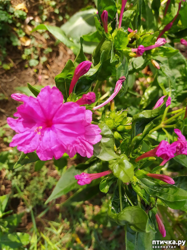 ���� 29: ������ �����