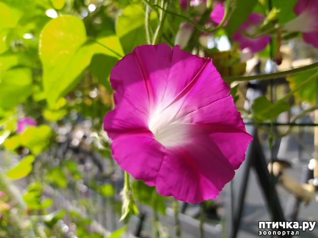 ���� 30: ������ �����