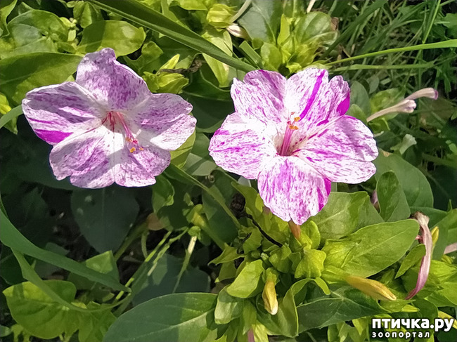 ���� 31: ������ �����