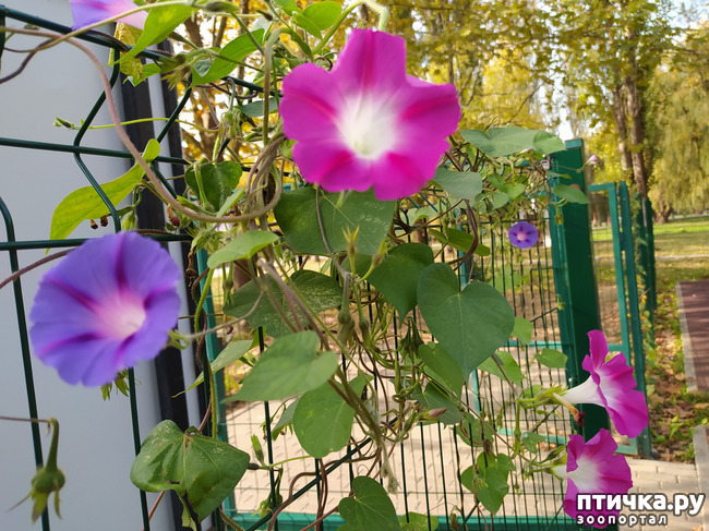 ���� 32: ������ �����