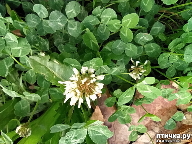 ���� 34: ������ �����