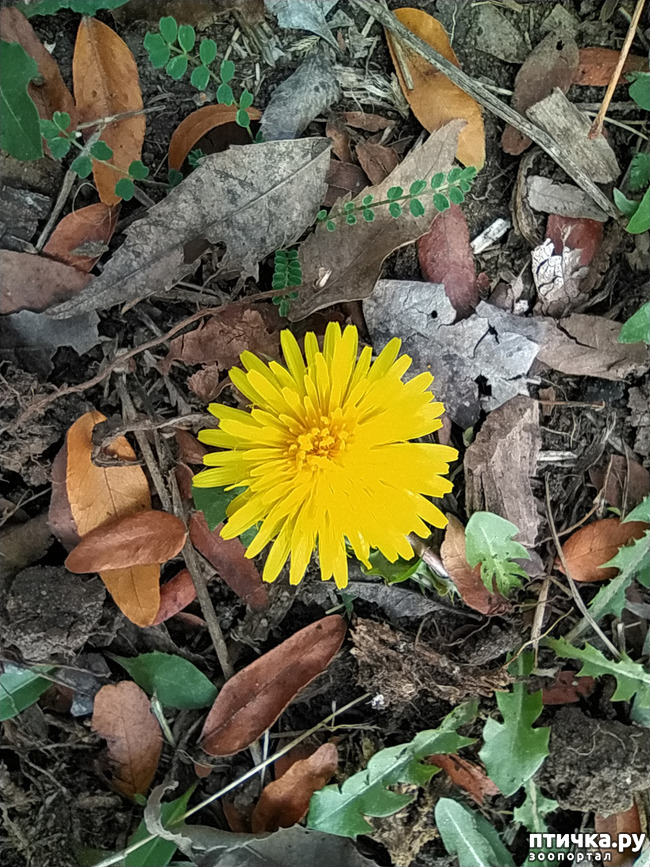 ���� 35: ������ �����