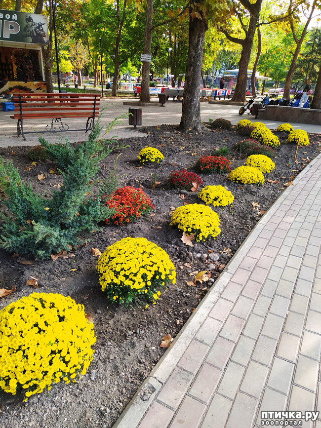 ���� 26: ������ �����