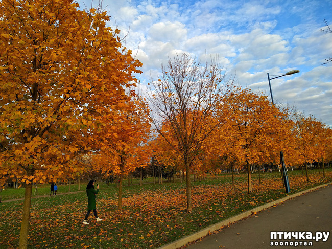 ���� 1: ������� �������