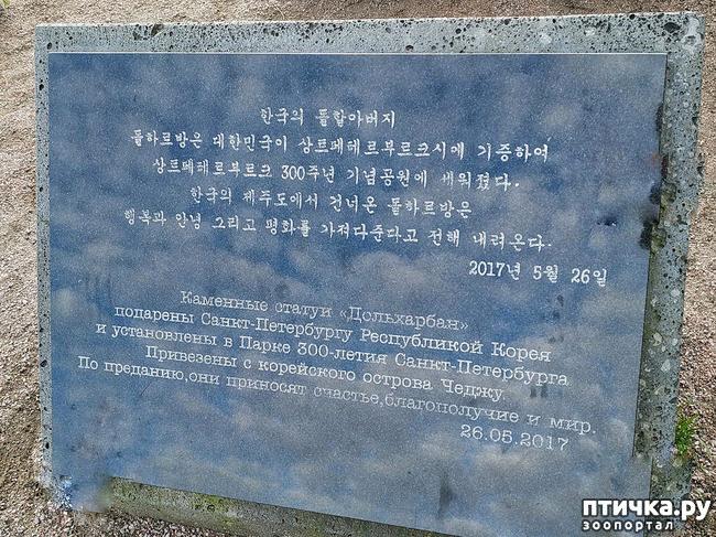 ���� 3: ������� �������