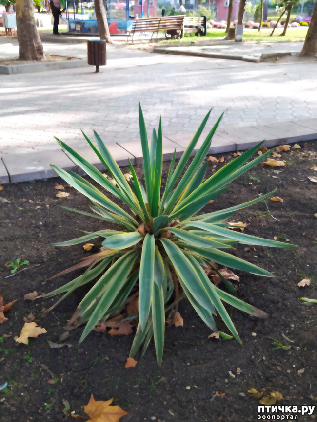 ���� 28: ������ �����