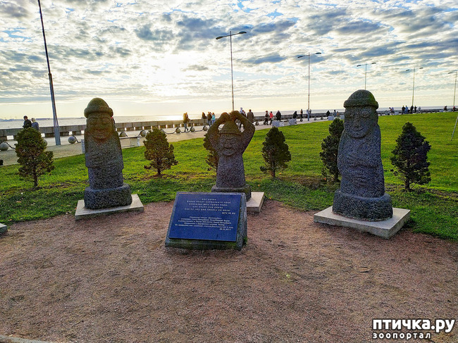 ���� 5: ������� �������