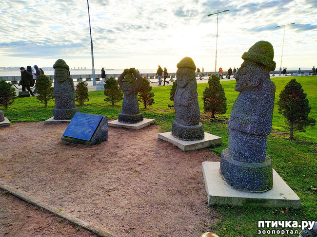 ���� 4: ������� �������