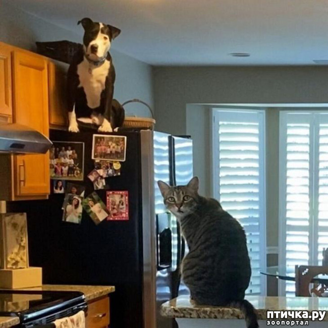 ���� 16: ����������� ����. ������� ������.