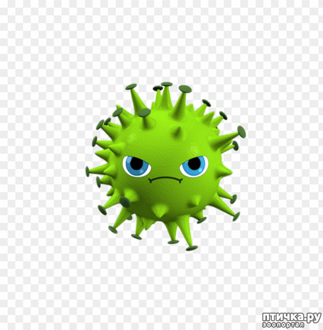 ���� 1: ����������� ����. ������� ������.