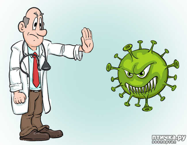 ���� 2: ����������� ����. ������� ������.