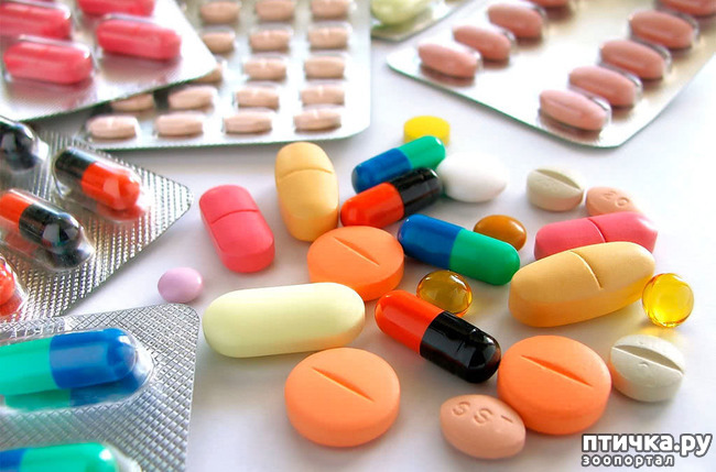 ���� 4: ����������� ����. ������� ������.