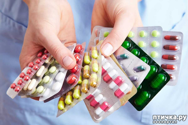 ���� 6: ����������� ����. ������� ������.