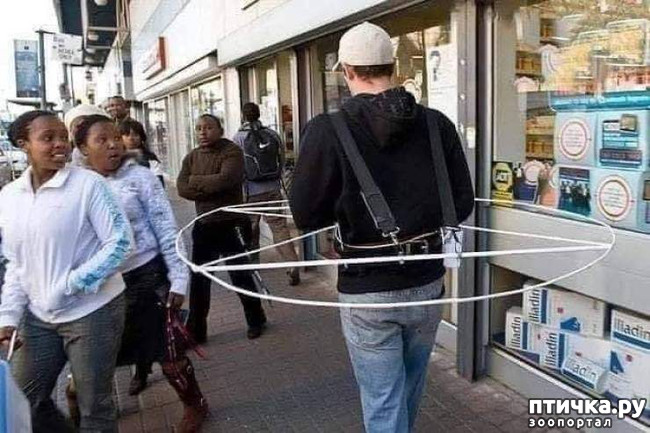 ���� 8: ����������� ����. ������� ������.