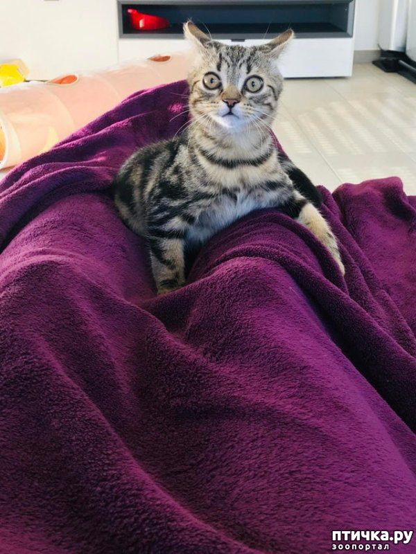 ���� 3: ����������� ����. ������� ������.