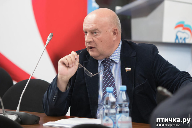 ���� 3: �������� � ����. ��� 3. ����������� ��������