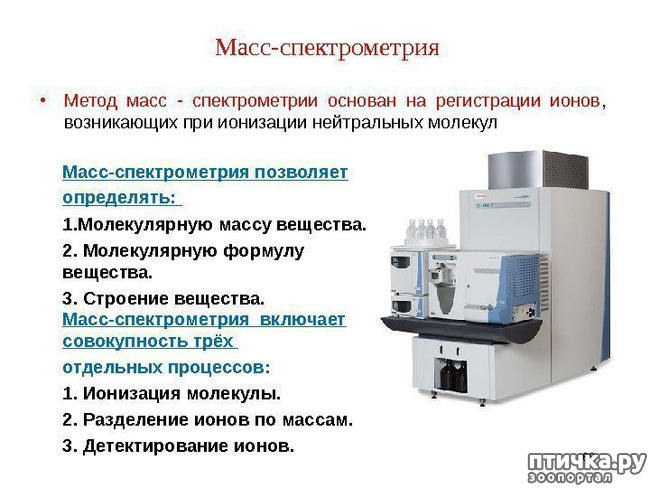 ���� 4: �������� � ����. ��� 3. ����������� ��������