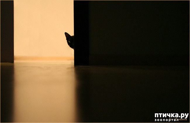 ���� 5: �������� � ����. ��� 3. ����������� ��������