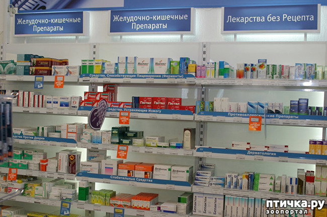 ���� 6: �������� � ����. ��� 3. ����������� ��������