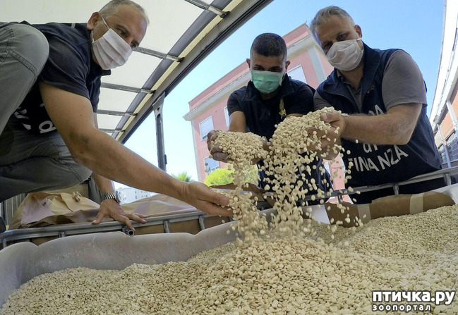 ���� 2: �������� � ����. ��� 3. ����������� ��������