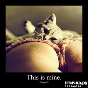 ���� 1: �������� ��� �����.