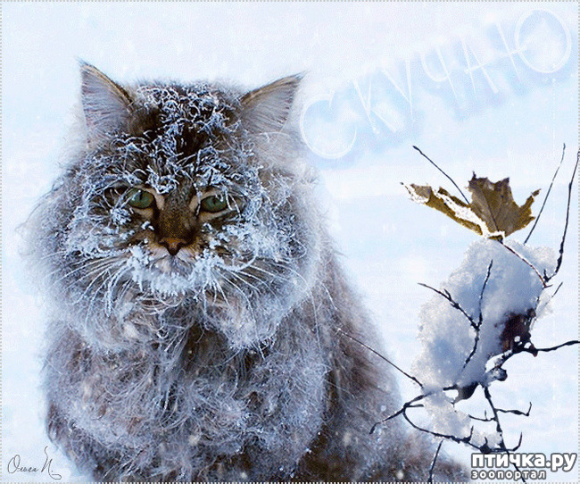 ���� 3: �������� ��� �����.