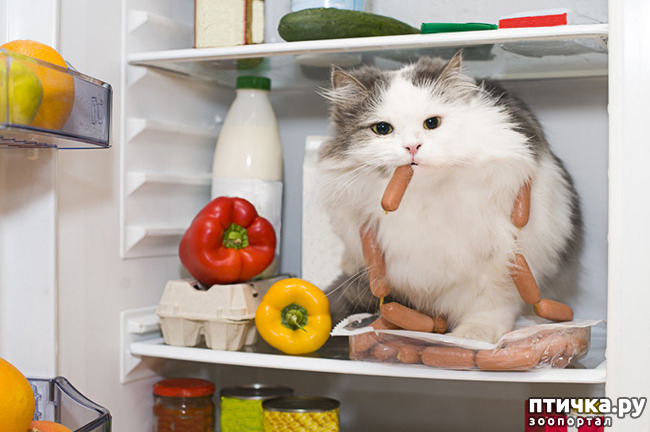 ���� 6: �������� ��� �����.