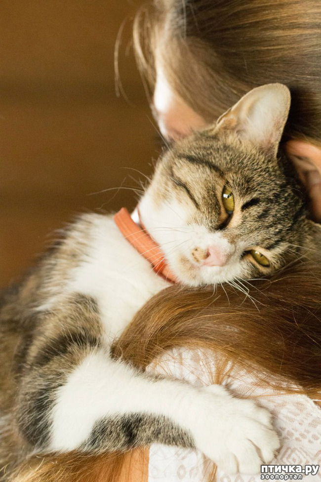 ���� 7: �������� ��� �����.