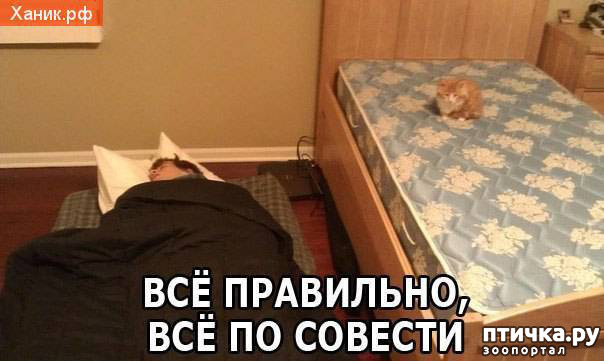 ���� 8: �������� ��� �����.