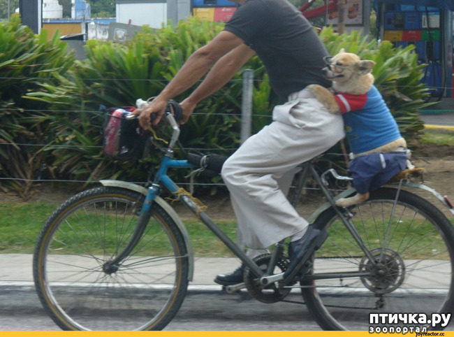 ���� 3: ���������