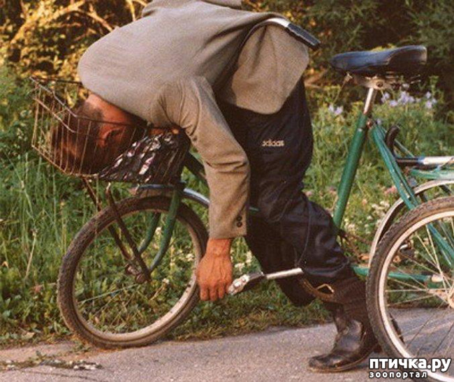 ���� 6: ���������