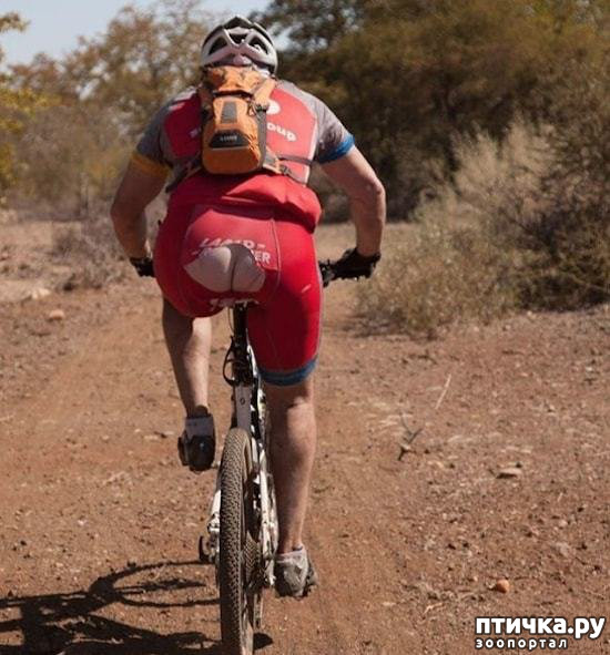 ���� 9: ���������