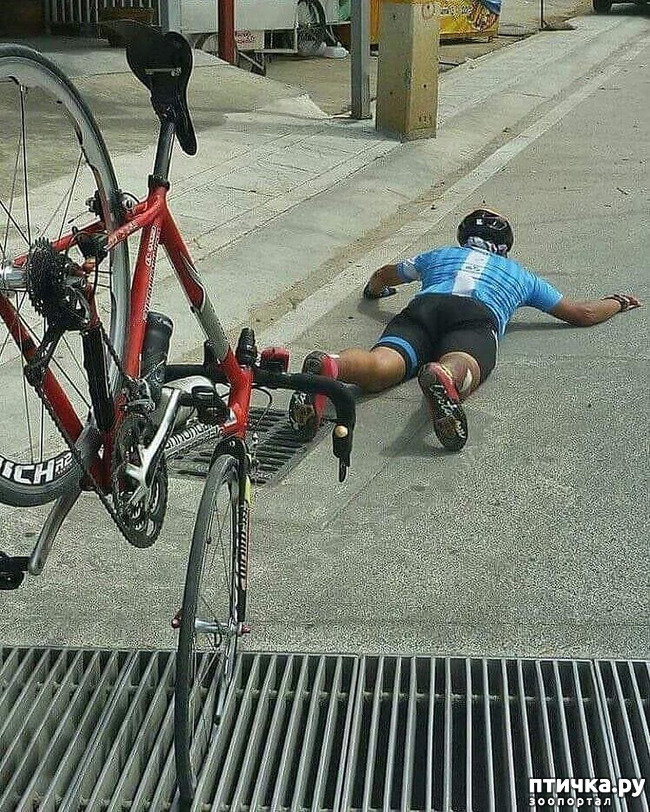 ���� 7: ���������