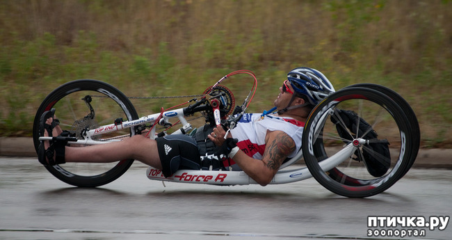 ���� 8: ���������