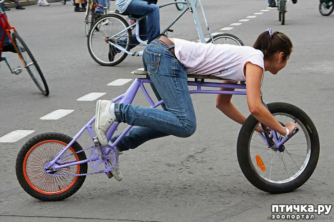 ���� 12: ���������