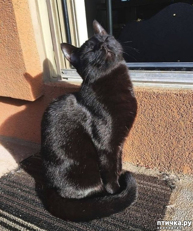 ���� 5: �������� ��� �����.