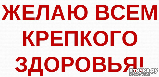 ���� 1: ��������� ��������... ��� �������.