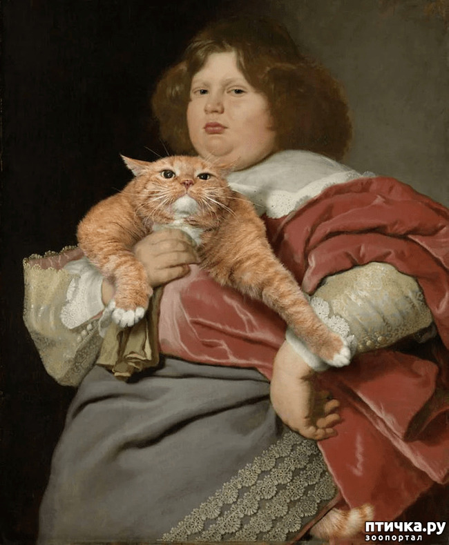 ���� 2: �������� ��� �����.