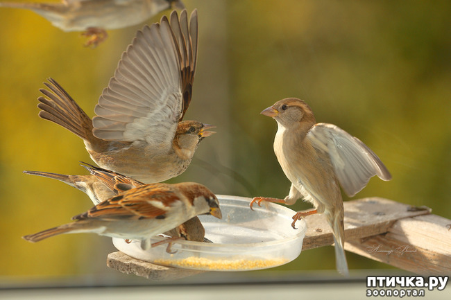 ���� 2: ����� ��������