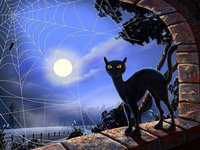 ���� 1: �������. 13��. ����. ׸���� ��� (��� �����).