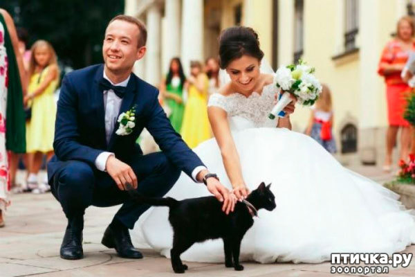 ���� 2: �������. 13��. ����. ׸���� ��� (��� �����).