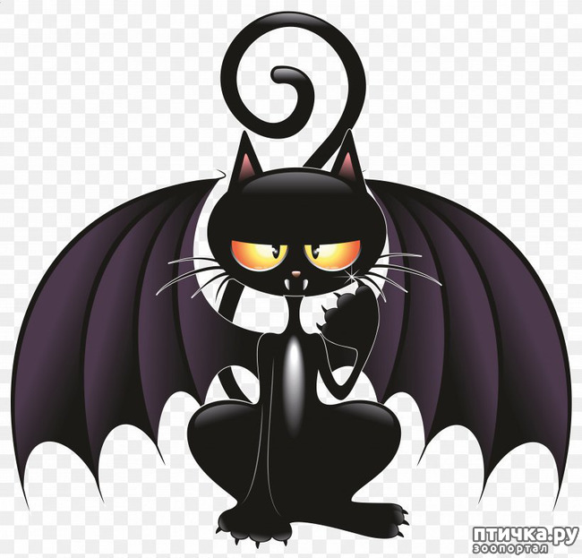 ���� 3: �������. 13��. ����. ׸���� ��� (��� �����).